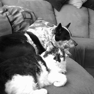 Meet your Posher, Laurie